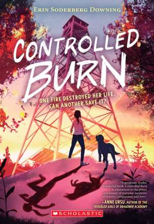 Controlled Burn de Erin Soderberg Downing