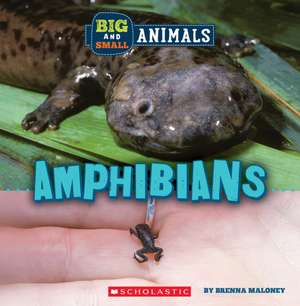 Amphibians (Wild World: Big and Small Animals) de Brenna Maloney