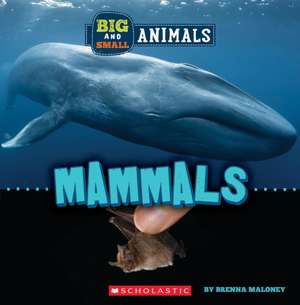 Mammals (Wild World: Big and Small Animals) de Brenna Maloney