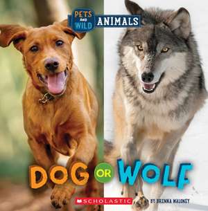 Dog or Wolf (Wild World: Pets and Wild Animals) de Brenna Maloney