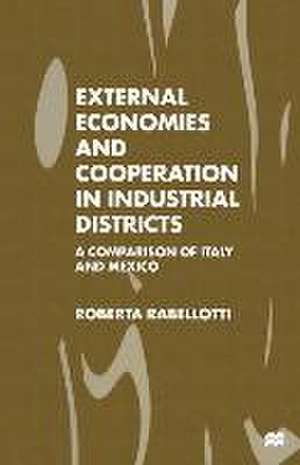 External Economies and Cooperation in Industrial Districts: A Comparison of Italy and Mexico de Roberta Rabellotti