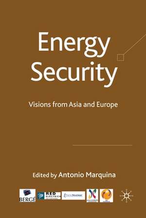 Energy Security: Visions from Asia and Europe de A. Marquina