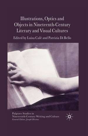 Illustrations, Optics and Objects in Nineteenth-Century Literary and Visual Cultures de L. Calè