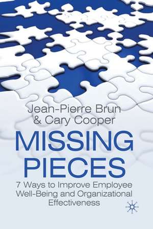 Missing Pieces: 7 Ways to Improve Employee Well-Being and Organizational Effectiveness de J. Brun