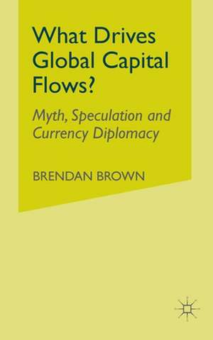 What Drives Global Capital Flows?: Myth, Speculation and Currency Diplomacy de B. Brown