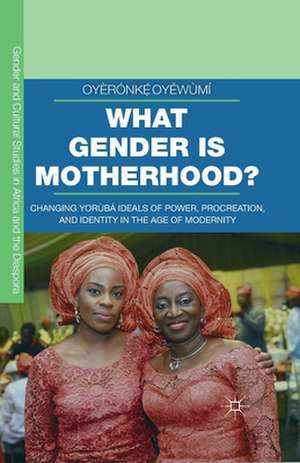 What Gender is Motherhood?: Changing Yorùbá Ideals of Power, Procreation, and Identity in the Age of Modernity de Oyèrónkẹ́ Oyěwùmí