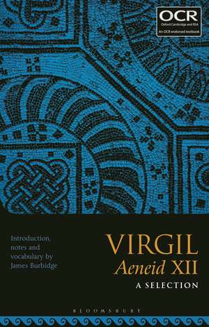 Virgil Aeneid XII: A Selection de Dr James Burbidge