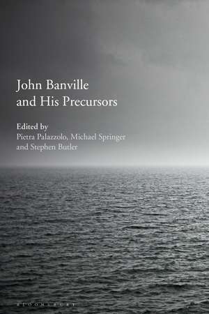 John Banville and His Precursors de Dr Pietra Palazzolo