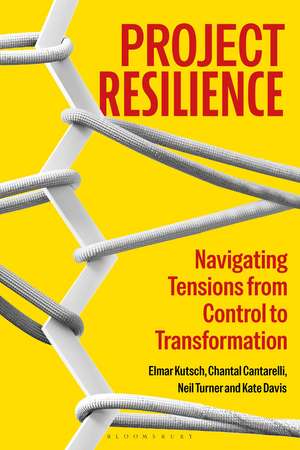 Project Resilience: Navigating Tensions from Control to Transformation de Professor Neil Turner