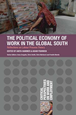 The Political Economy of Work in the Global South de Anita Hammer