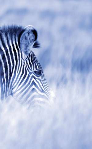 Alive! Zebra Stripes - Blue Duotone - Photo Art Notebooks (5 X 8 Series) de Eva-Lotta Jansson