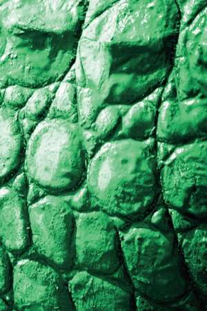 Alive! Crocodile Skin - Emerald Duotone - Photo Art Notebooks (6 X 9 Series) de Eva-Lotta Jansson