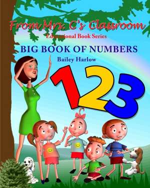 Big Book of Numbers de Bailey Harlow