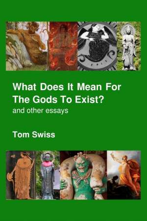 What Does It Mean For The Gods To Exist? de Tom Swiss