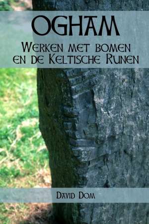 Ogham de David Dom