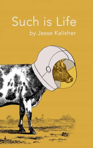 Such is Life de Jesse Kalisher