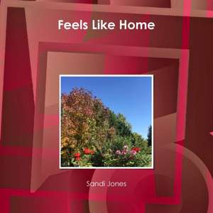 Feels Like Home de Sandi Jones