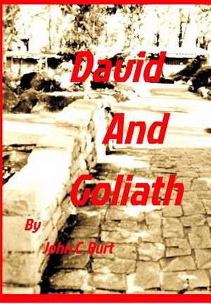 David and Goliath de John C. Burt