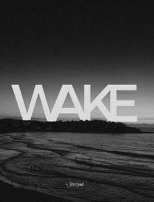Wake de Test, Ds