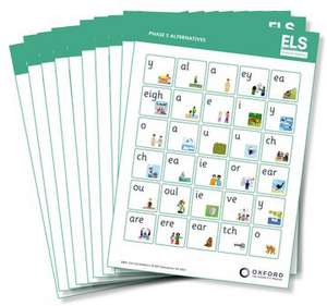 ELS Essential Spelling: Year 2: Phase 5 Alternative Sounds Mat Pack of 10 de Tara Dodson