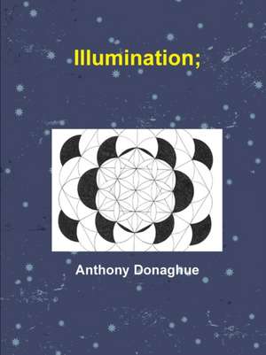 Illumination; de Anthony Donaghue