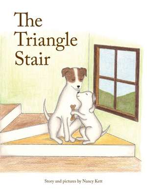 The Triangle Stair de Nancy Kett