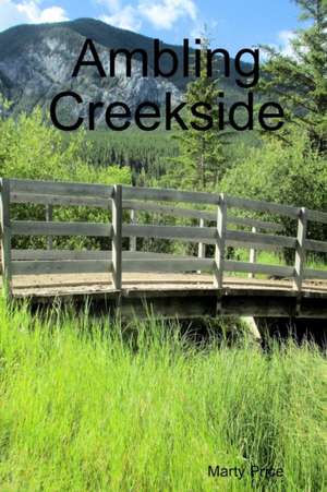 Ambling Creekside de Marty Price