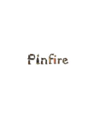 The Pinfire Page de Aaron Newcomer