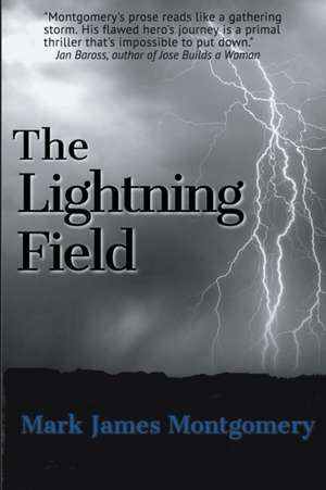 The Lightning Field de Mark James Montgomery