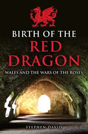 Birth of the Red Dragon de Stephen David