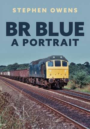 BR Blue: A Portrait de Stephen Owens