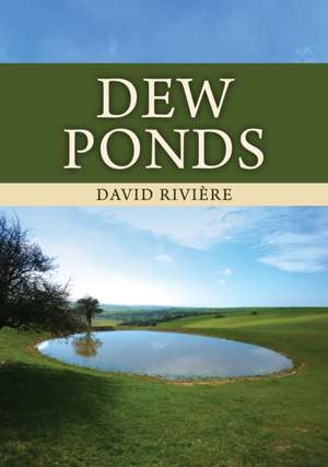 Dew Ponds de David Riviere
