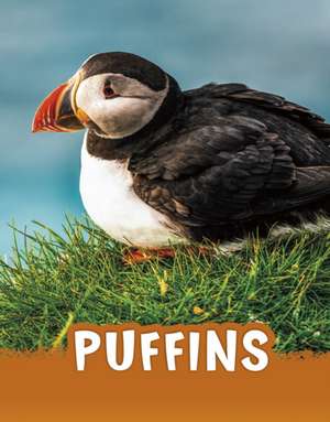 Puffins de Jaclyn Jaycox