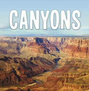 Canyons de Lisa J. Amstutz