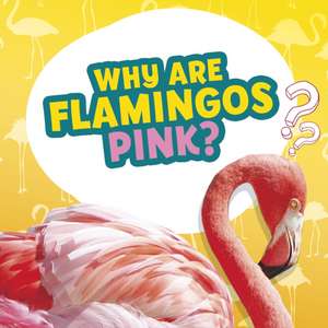 Why Are Flamingos Pink? de Nancy Dickmann