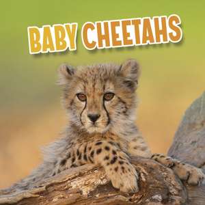 Baby Cheetahs de Martha E. H. Rustad