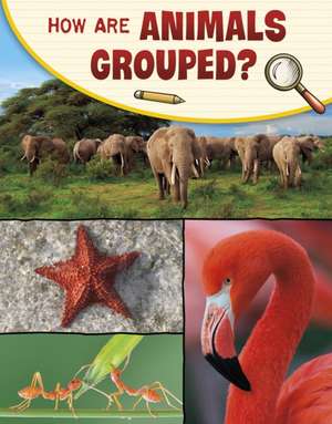 How Are Animals Grouped? de Lisa M. Bolt Simons