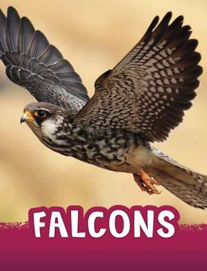 Falcons de Jaclyn Jaycox