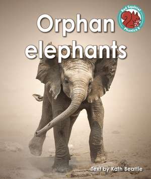 Orphan elephants de Kath Beattie