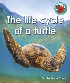 The life cycle of a turtle de Susan Frame