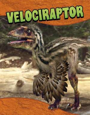Velociraptor de Laura K. Murray