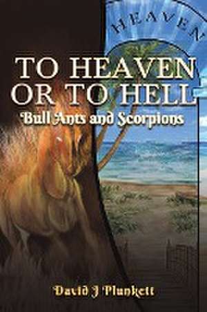 To Heaven or to Hell de David J Plunkett