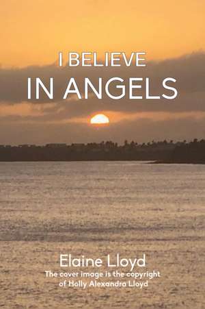 I Believe in Angels de Elaine Lloyd