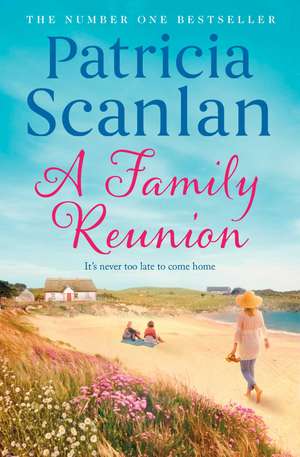 A Family Reunion: Warmth, wisdom and love on every page - if you treasured Maeve Binchy, read Patricia Scanlan de Patricia Scanlan