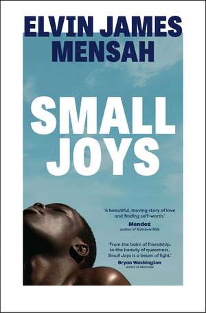 Small Joys: A Buzzfeed 'Amazing New Book You Need to Read ASAP' de Elvin James Mensah