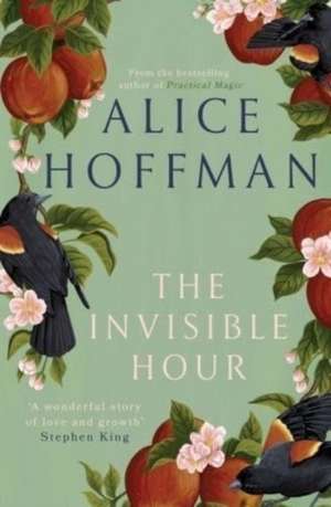 The Invisible Hour de Alice Hoffman