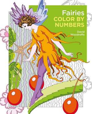 Fairies Color by Numbers de David Woodroffe