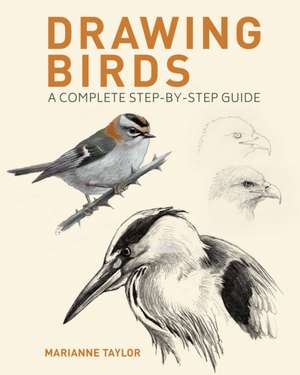 Taylor, M: Drawing Birds de Marianne Taylor