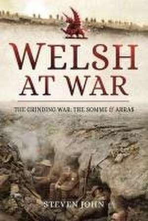 The Welsh at War de Steven John