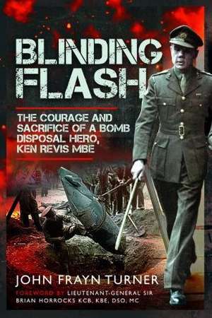 Blinding Flash de John Frayn Turner